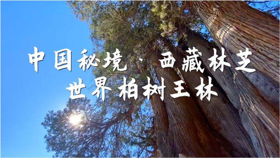 专利公开量 授权量“三连冠” 技术创新还得是长城